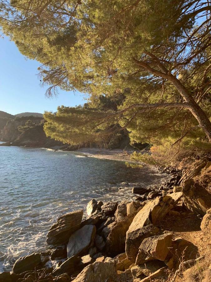 Villa Cavalaire Sur Mer المظهر الخارجي الصورة